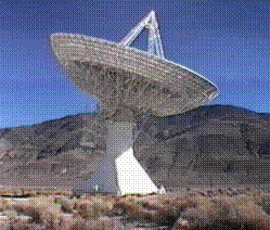big dish