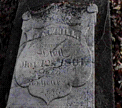 Pioneer Cem image