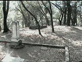 Coloma Pioneer Cem image