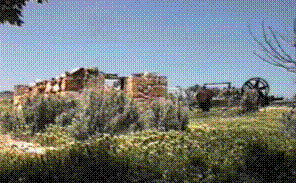 Tuscarora image