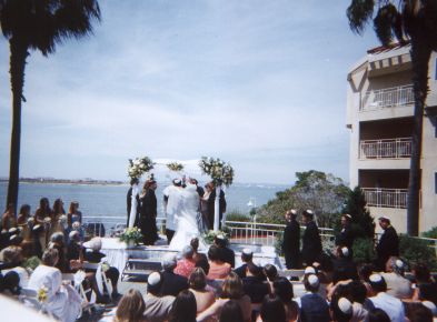 wed805s.jpg