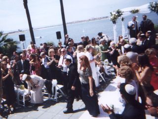 wed805w.jpg